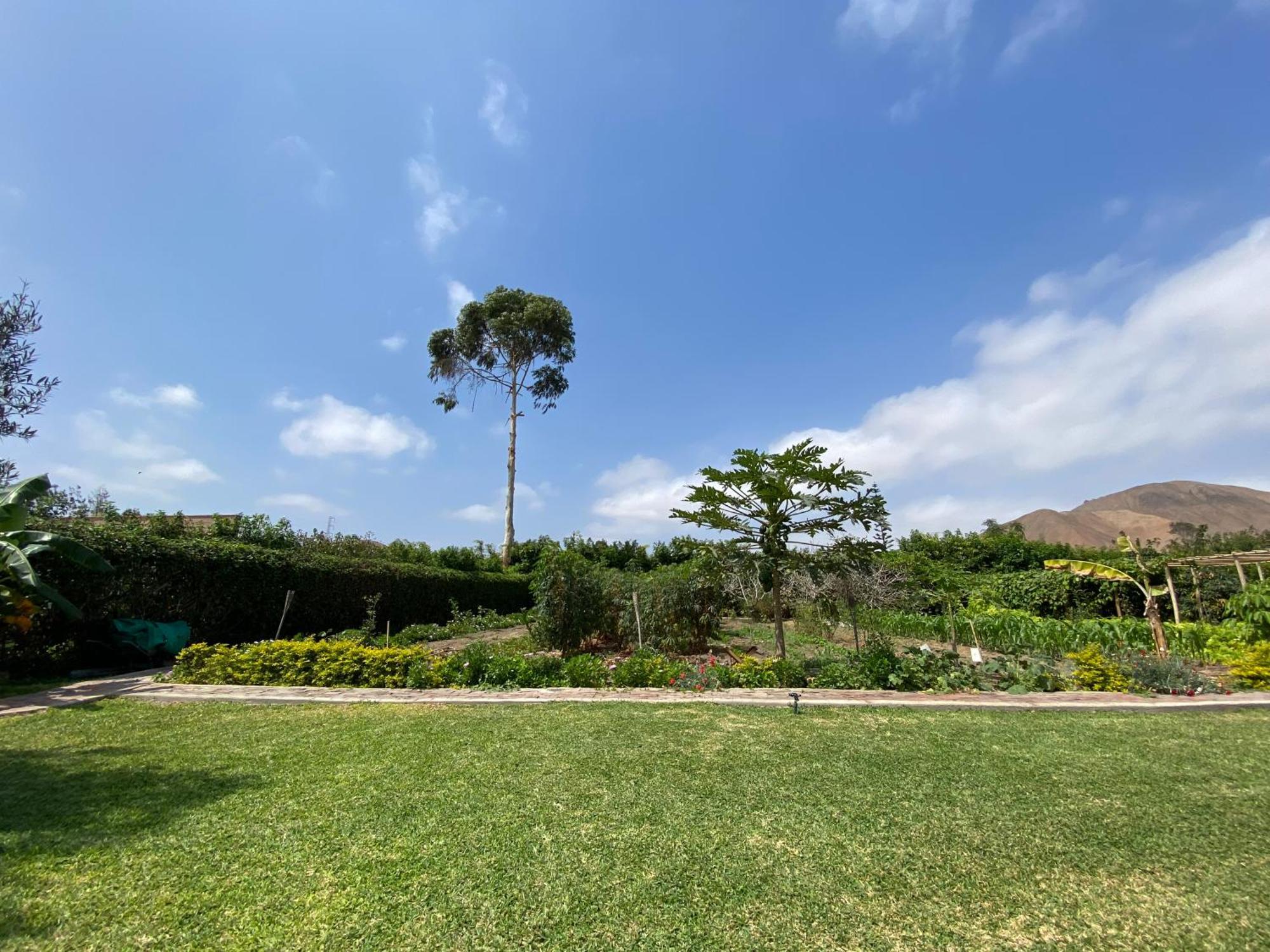 Casa De Campo En Hacienda San Andres San Andres (Lima) Exterior foto